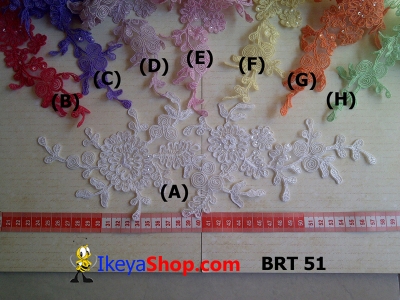 BRT 51  large2